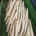 道地怀山片·铁棍山药片/基地直发/货源充足