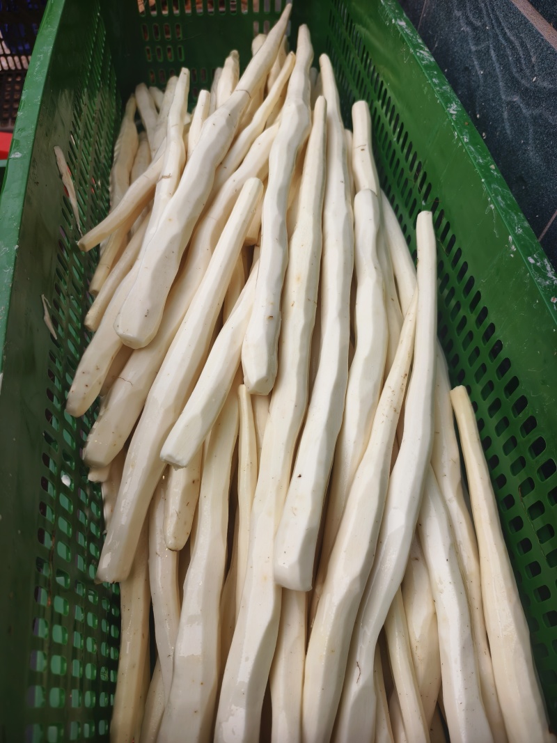 道地怀山片·铁棍山药片/基地直发/货源充足