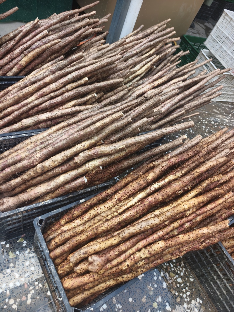 道地怀山片·铁棍山药片/基地直发/货源充足