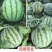 山西西瓜/美都西瓜/麒麟西瓜/无籽西瓜/8424全国发货