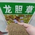 龙胆草种子中药材观花种子草龙胆山龙胆种子可阳台庭院种植