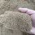龙胆草种子中药材观花种子草龙胆山龙胆种子可阳台庭院种植