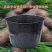 天麻种植营养钵，45*30营养杯，加厚防老化塑料营养桶