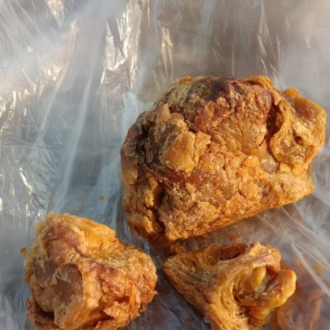 广东鸡宝大量有货价格美丽欢迎电话联系