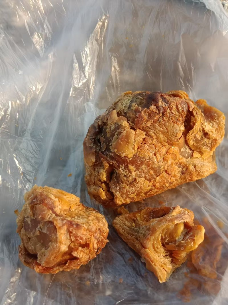广东鸡宝大量有货价格美丽欢迎电话联系