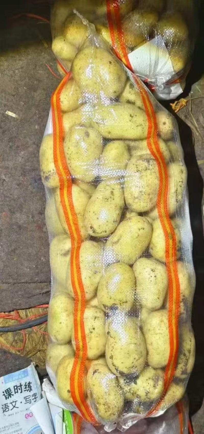 v7土豆产地直发量大电话议价价格美丽各规格齐全
