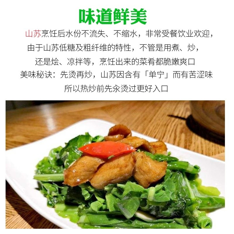 台湾新鲜山苏叶