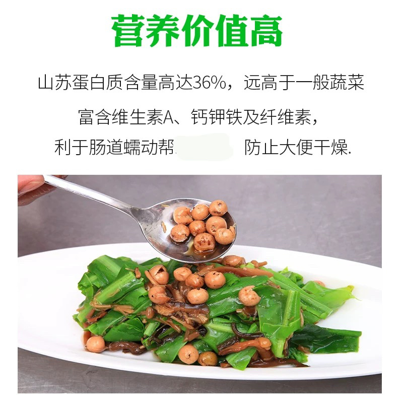 台湾新鲜山苏叶