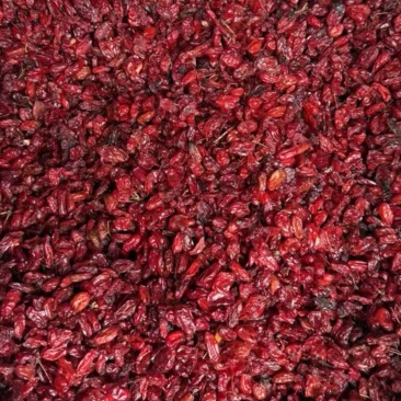 山茱萸
