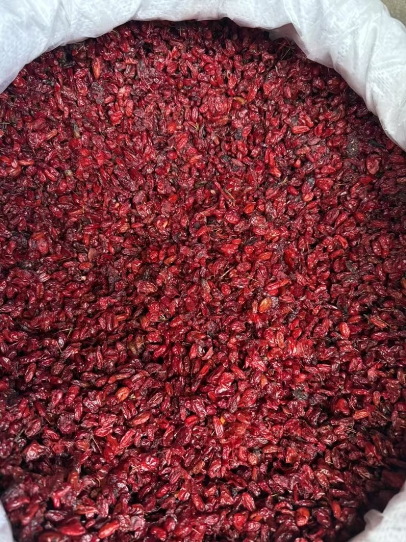 山茱萸