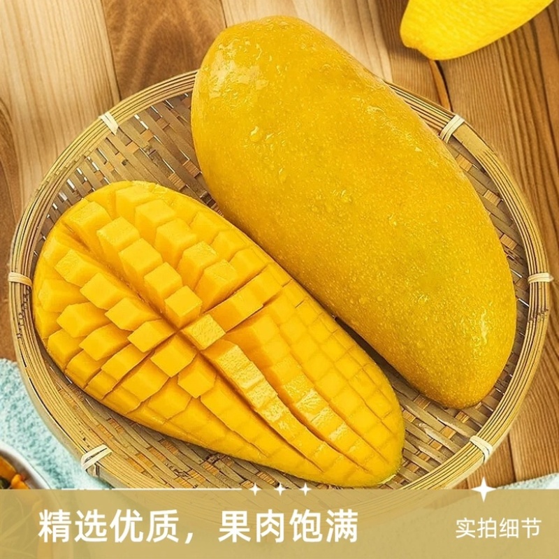 【果园直发】海南金煌芒一件代发提供达人场地直播包吃包住