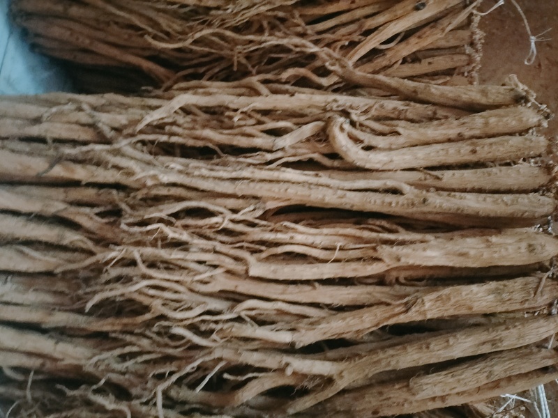 大量出售贵州黄党干货，规格齐全