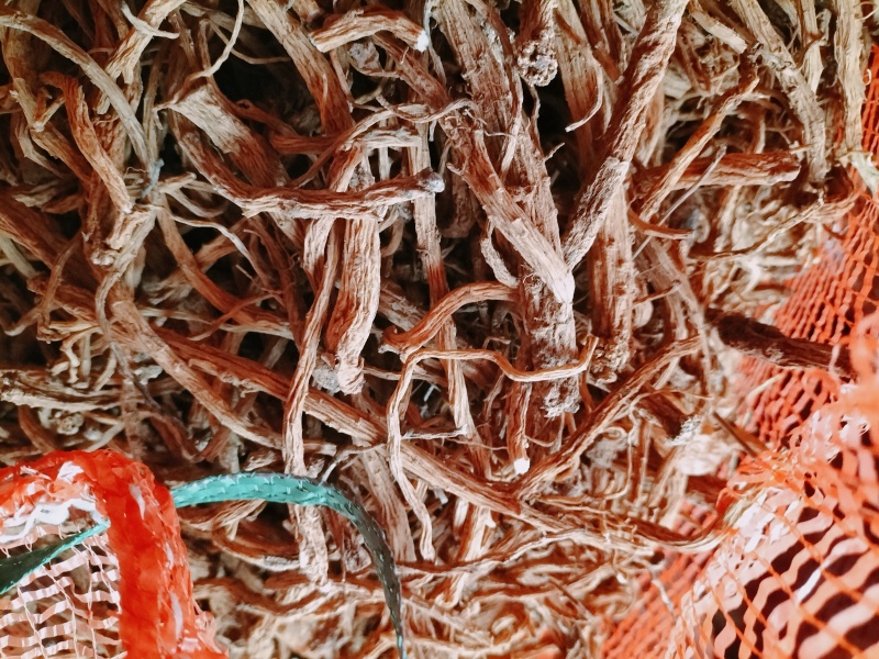大量出售贵州黄党干货，规格齐全
