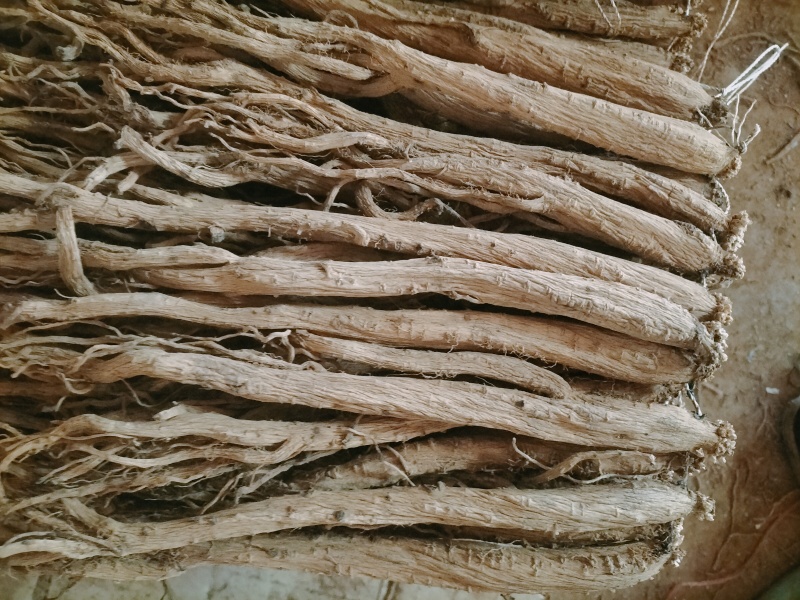 大量出售贵州黄党干货，规格齐全