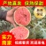 【潍坊】2K小糖丸吊瓜产地直发保质保量，欢迎来电！！！