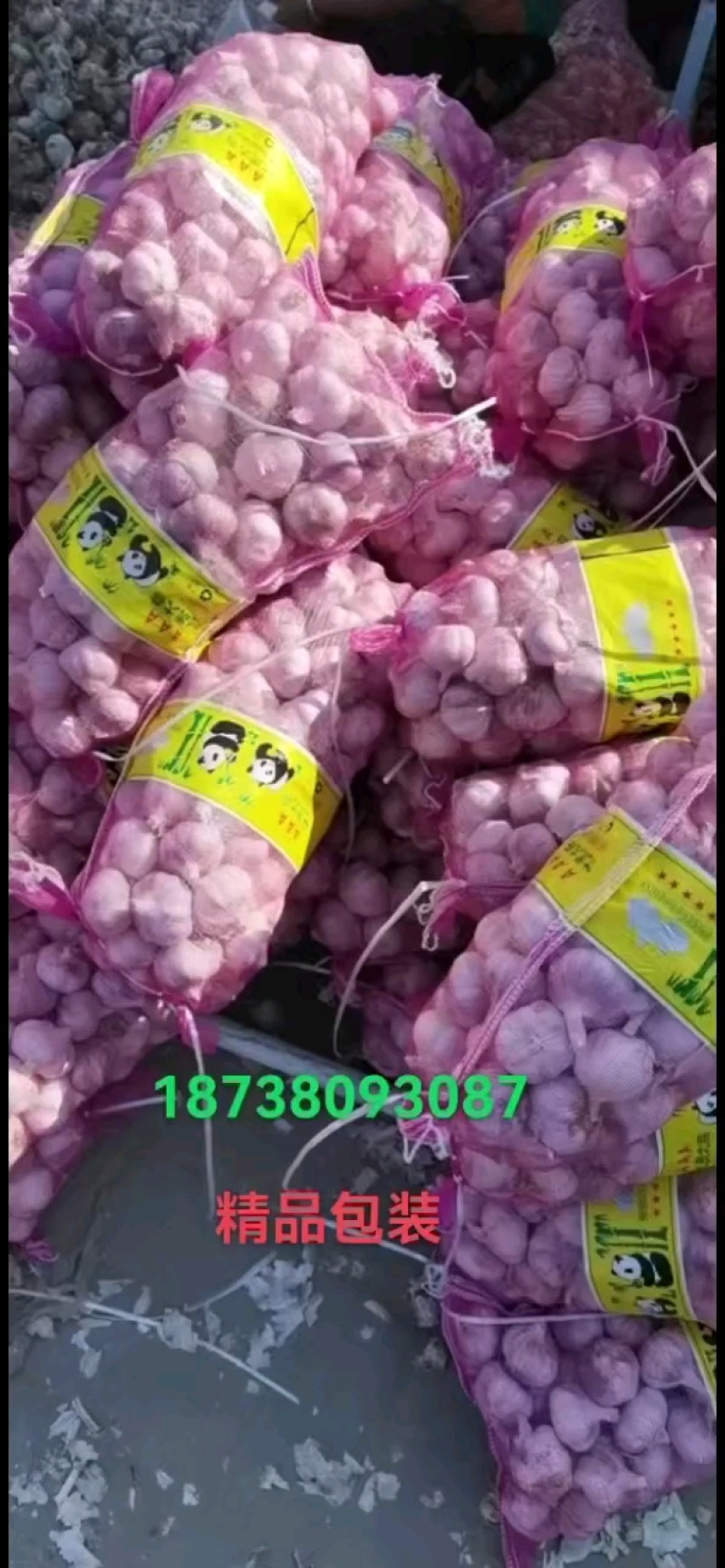 红帽蒜苔长度60-80干苔不泡水，对接.电商可视频看货