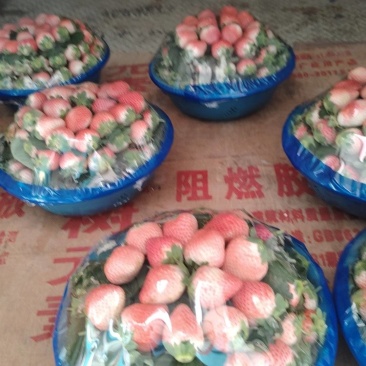 新鲜草莓，天然无添加，营养丰富，口感独特，健康美味，送