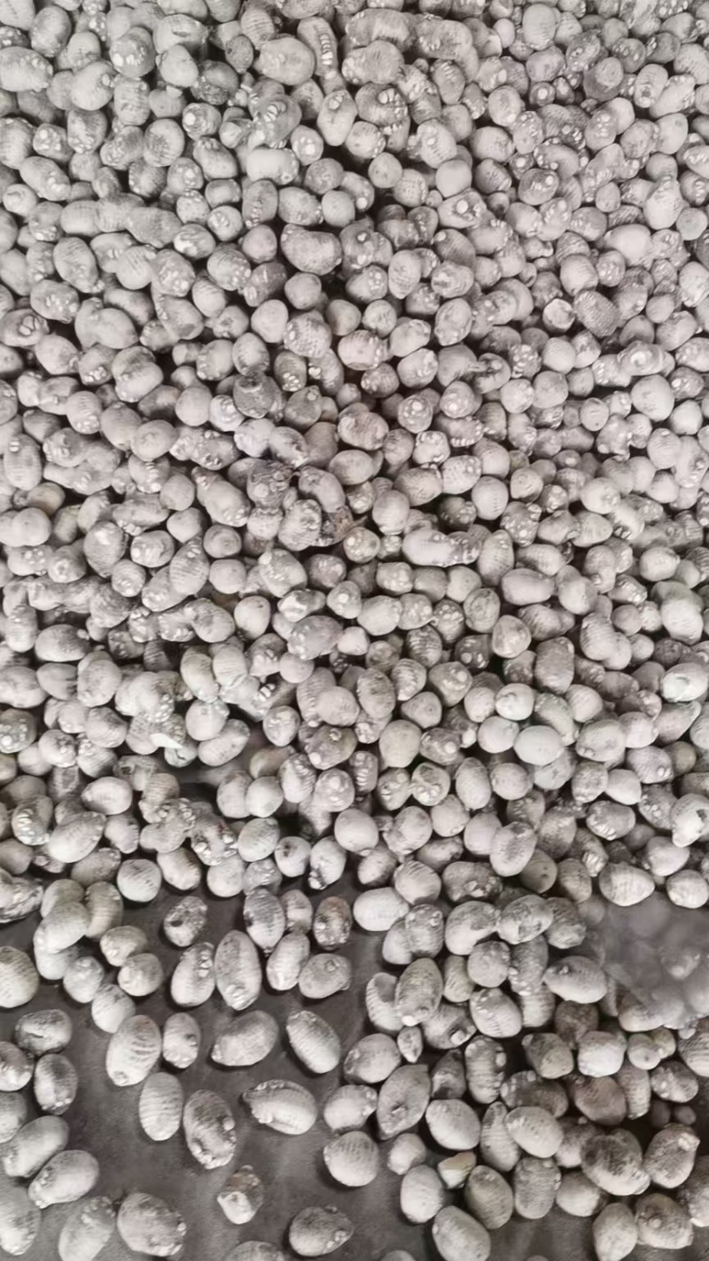 泽泻干货，大量供应，大量优先