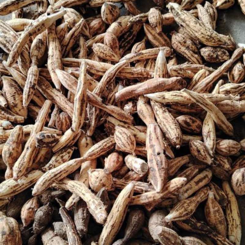 黑皮牛大力干片自然晒干85一斤20斤起批