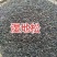 新采湿地松种子松树种子绿化园林