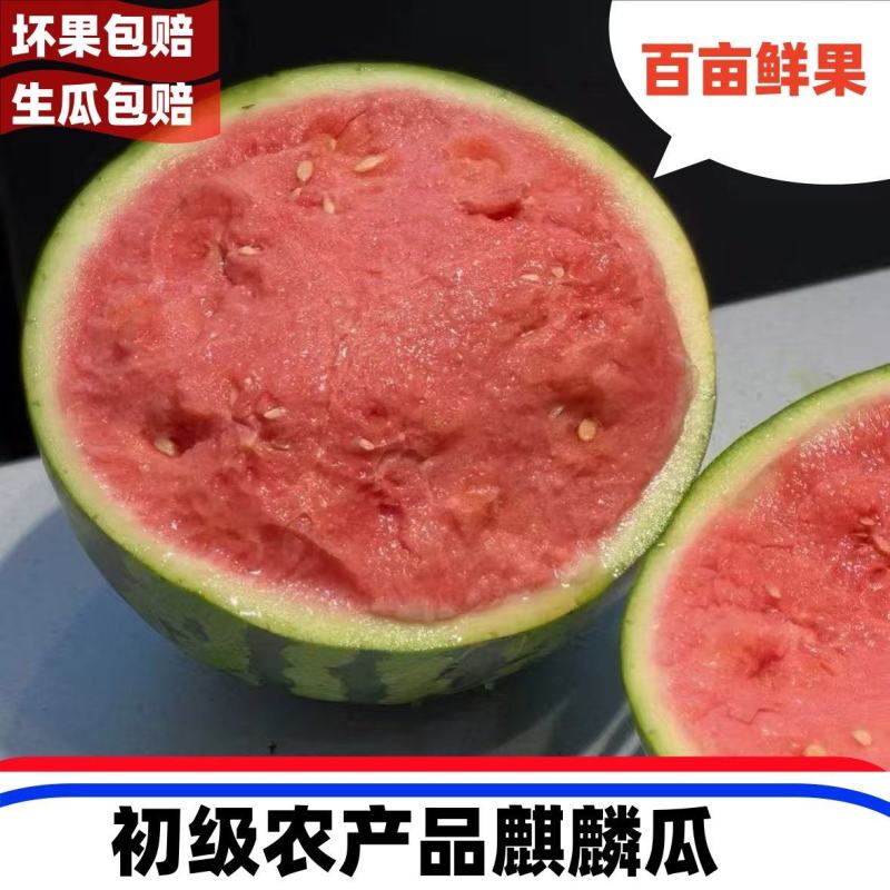 河南夏邑2025年头茬无籽麒麟瓜精品美都711电商果
