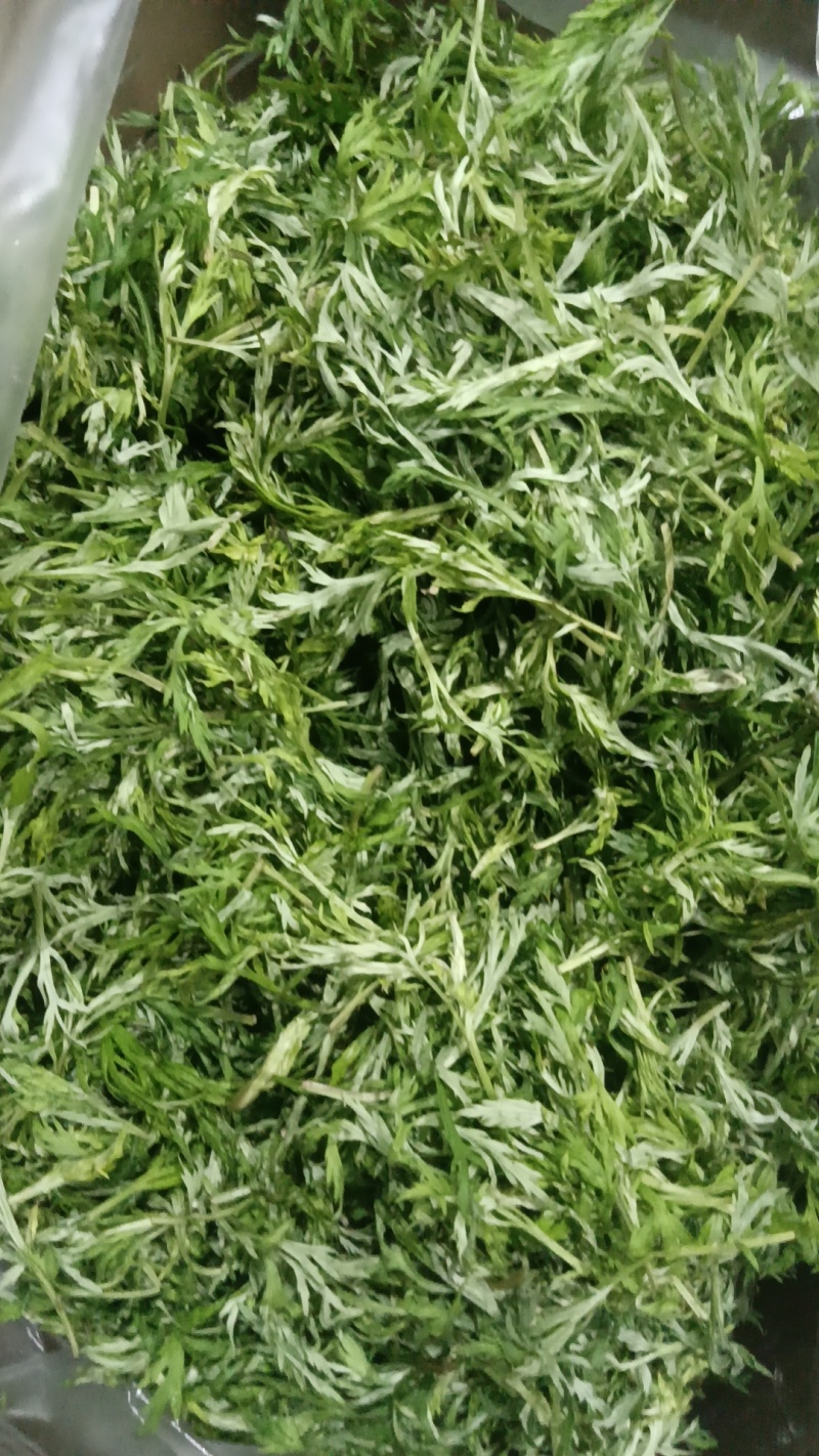 时令野菜