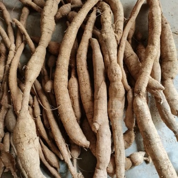 广西深山野生牛大力生货干货批零通货切片