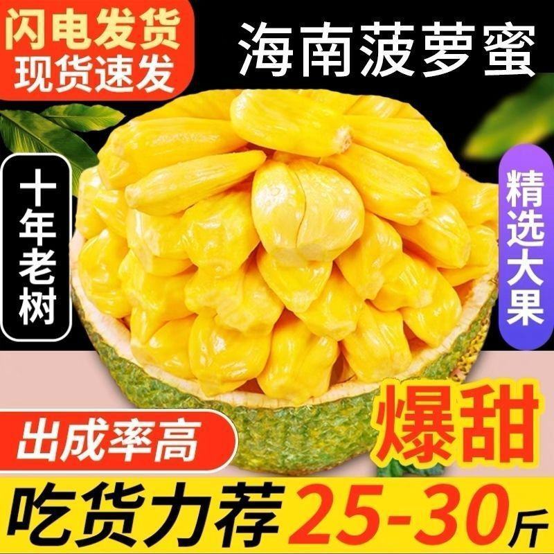 菠萝蜜菠萝菠萝蜜海南菠萝蜜新鲜菠萝蜜