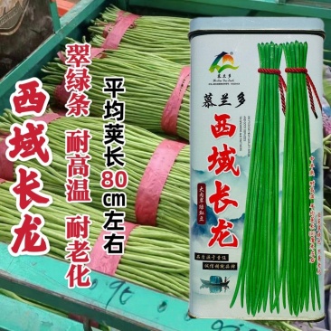 慕兰多西域长龙豆角种子翠绿条特长豇豆种子耐热绿肉实心抗病