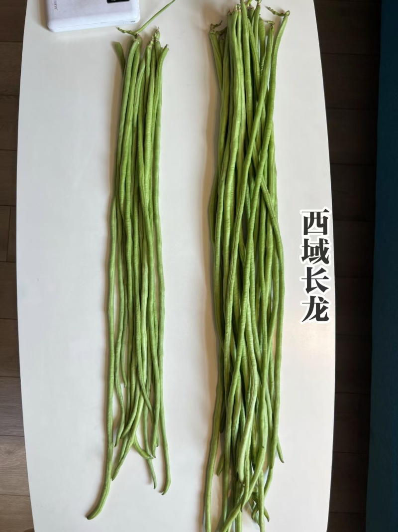 慕兰多西域长龙豆角种子翠绿条特长豇豆种子耐热绿肉实心抗病
