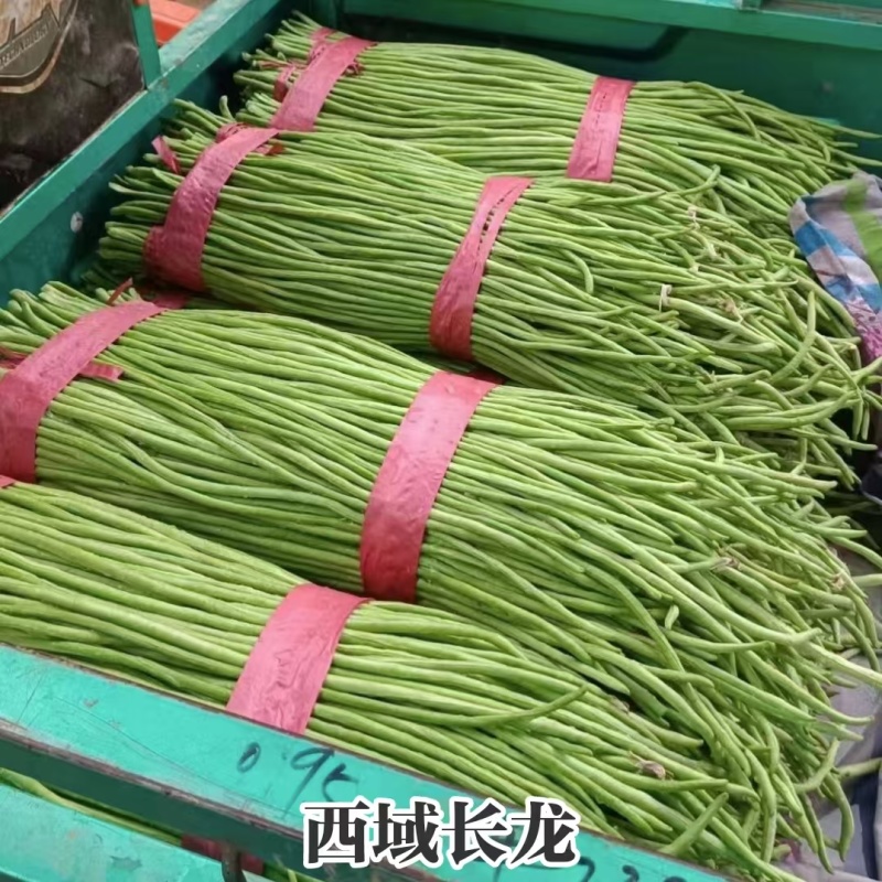 慕兰多西域长龙豆角种子翠绿条特长豇豆种子耐热绿肉实心抗病