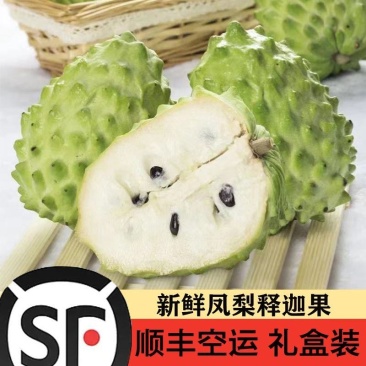 顺丰空运凤梨释迦果释迦果一件代发礼盒装释迦果