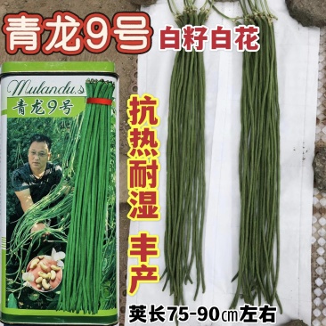 慕兰多青龙9号豆角种子高产青条长豇豆种子耐热耐湿特长豆角