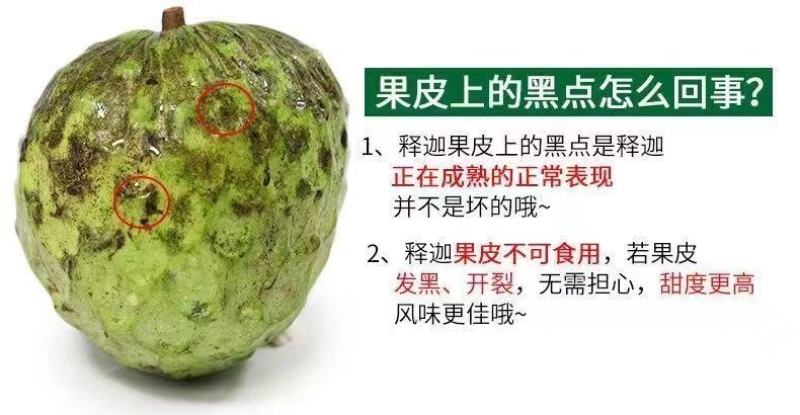 顺丰空运凤梨释迦果释迦果一件代发礼盒装释迦果
