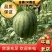 【推荐】山东潍坊全美2K西瓜、小吊瓜、小糖丸欢迎咨