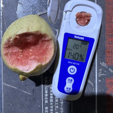 红心芭乐大量供应电商社区团购美团多多