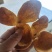 2023年大红皮农户自晒干仓