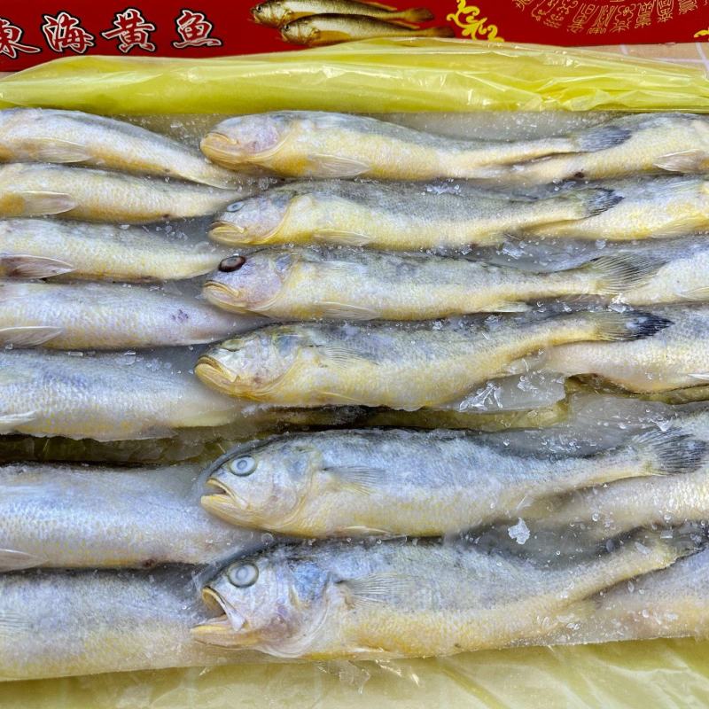 小黄鱼