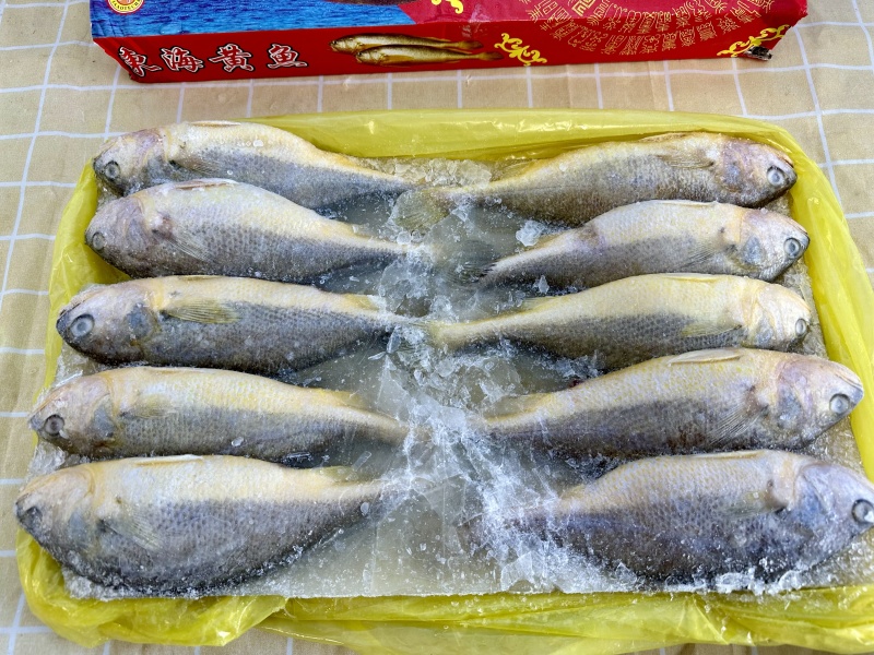 小黄鱼