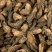 大茶根【包邮】三斤起发货可批量可零售量大从优