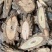 大茶藤【包邮】三斤起发货可批量可零售量大从优
