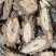 大茶藤【包邮】三斤起发货可批量可零售量大从优
