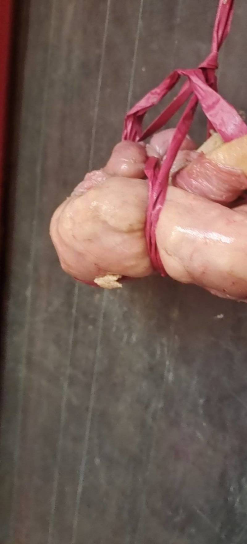 酉阳特产新鲜鸡宝，营养丰富，口感鲜美，健康美味，欢迎选购！