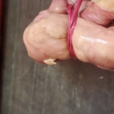 酉阳特产新鲜鸡宝，营养丰富，口感鲜美，健康美味，欢迎选购！