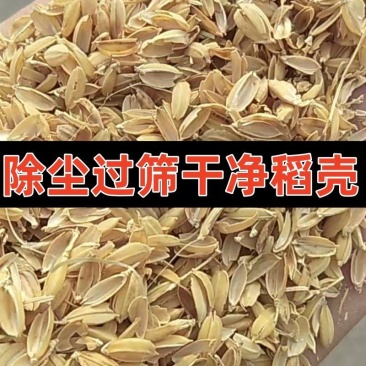 供应稻壳牛羊鸡饲料宠物垫料枕头填充禽畜酒厂酿酒用大鹏种植