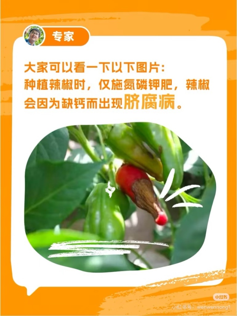 院博团队研发聚谷氨酸中量水溶肥科学稀释1000倍