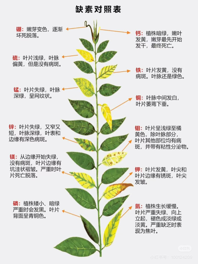 院博团队研发聚谷氨酸中量水溶肥科学稀释1000倍