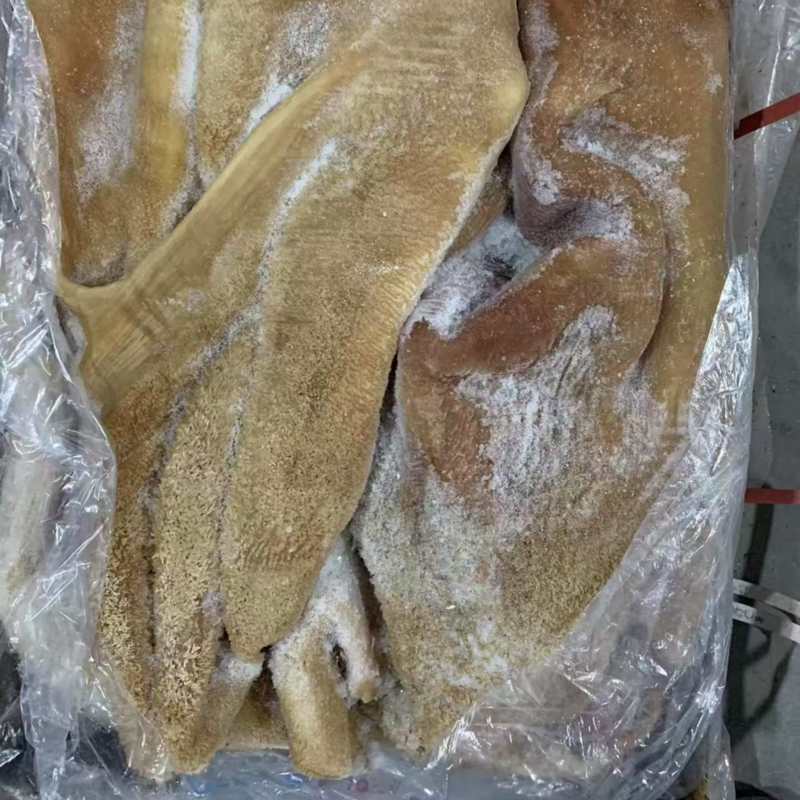 精品牛肚
