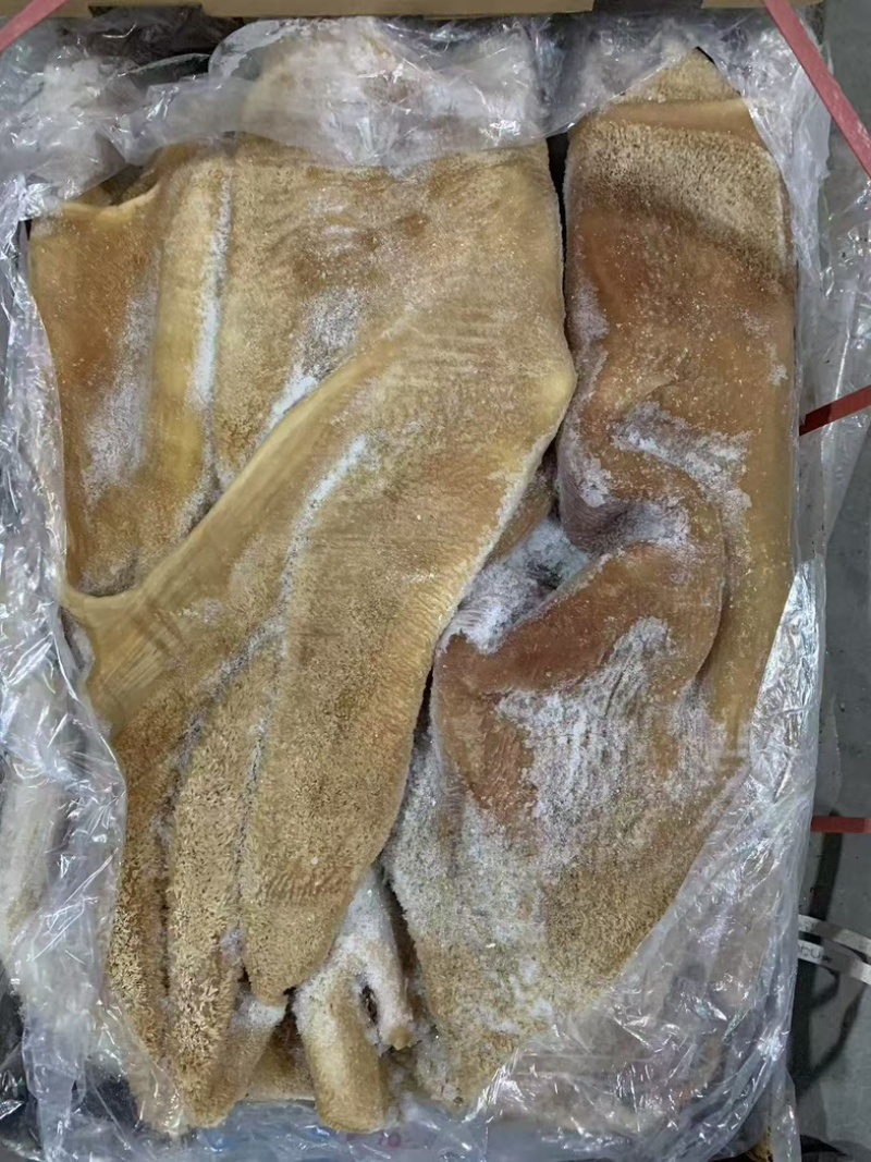 精品牛肚