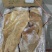 精品牛肚